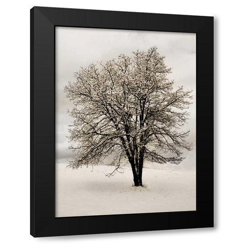 Snow White Tree Black Modern Wood Framed Art Print with Double Matting by Geyman, Vitaly