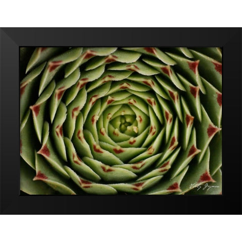 Floral Labyrinth I Color Black Modern Wood Framed Art Print by Geyman, Vitaly