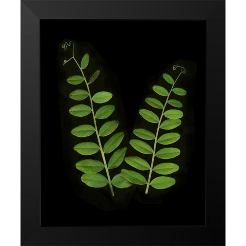 Green Leaves II Black Modern Wood Framed Art Print by Geyman, Vitaly