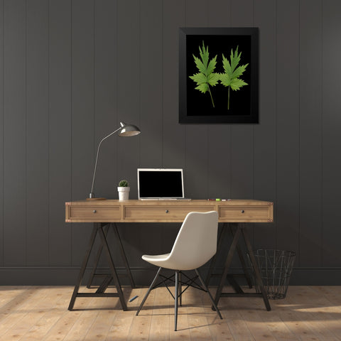 Green Leaves III Black Modern Wood Framed Art Print by Geyman, Vitaly