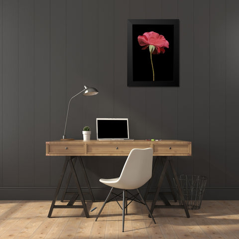 Red Rose I Black Modern Wood Framed Art Print by Geyman, Vitaly