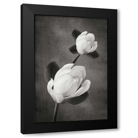 Tulip Tree Duet BandW Black Modern Wood Framed Art Print by Geyman, Vitaly