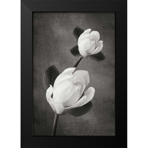 Tulip Tree Duet BandW Black Modern Wood Framed Art Print by Geyman, Vitaly
