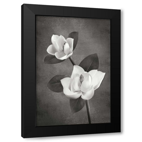 Magnolia Duet II BandW Black Modern Wood Framed Art Print with Double Matting by Geyman, Vitaly