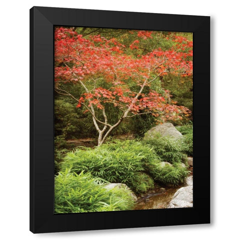 Japanese Park I Black Modern Wood Framed Art Print by Geyman, Vitaly