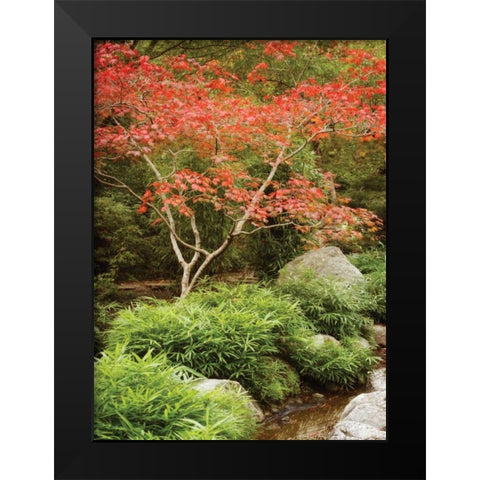 Japanese Park I Black Modern Wood Framed Art Print by Geyman, Vitaly