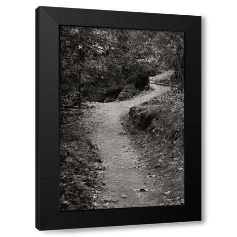 Autumn Path II BandW Black Modern Wood Framed Art Print with Double Matting by Geyman, Vitaly