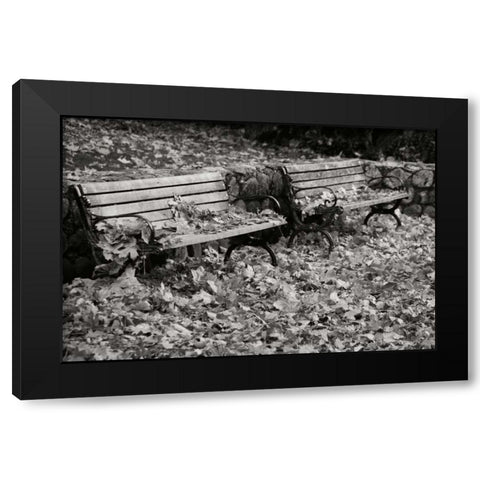 Autumn Paradise I BandW Black Modern Wood Framed Art Print by Geyman, Vitaly