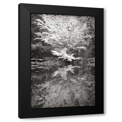 Fall Bouquet I BandW Black Modern Wood Framed Art Print with Double Matting by Geyman, Vitaly