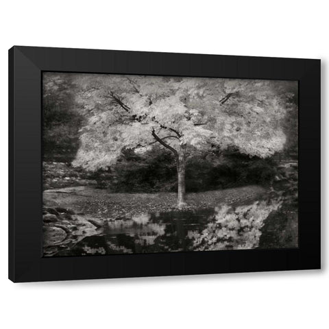 Autumn Reflections III BandW Black Modern Wood Framed Art Print by Geyman, Vitaly