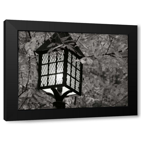 Fall Lighting I BandW Black Modern Wood Framed Art Print by Geyman, Vitaly