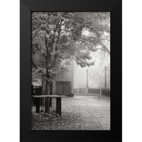Fall Plaza IV BandW Black Modern Wood Framed Art Print by Geyman, Vitaly