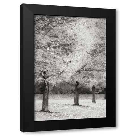 Splash of Color II BandW Black Modern Wood Framed Art Print with Double Matting by Geyman, Vitaly