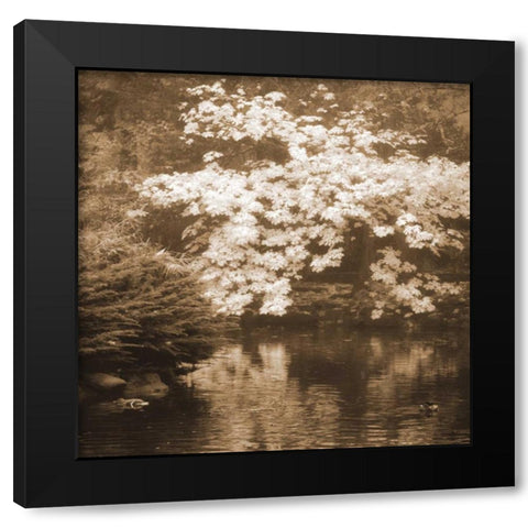 Autumn Reflections I Black Modern Wood Framed Art Print with Double Matting by Geyman, Vitaly