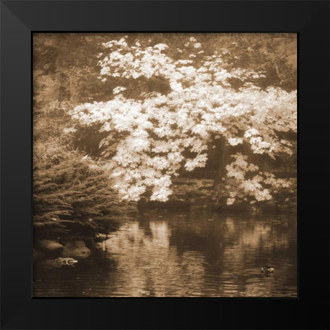 Autumn Reflections I Black Modern Wood Framed Art Print by Geyman, Vitaly
