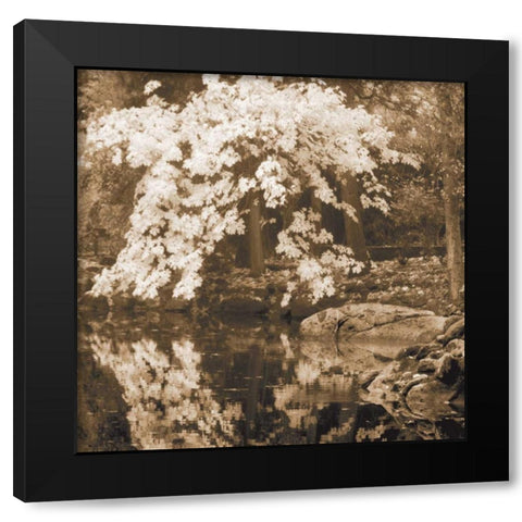 Autumn Reflections II Black Modern Wood Framed Art Print by Geyman, Vitaly
