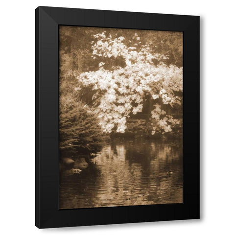 Autumn Reflections I Black Modern Wood Framed Art Print by Geyman, Vitaly