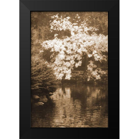 Autumn Reflections I Black Modern Wood Framed Art Print by Geyman, Vitaly
