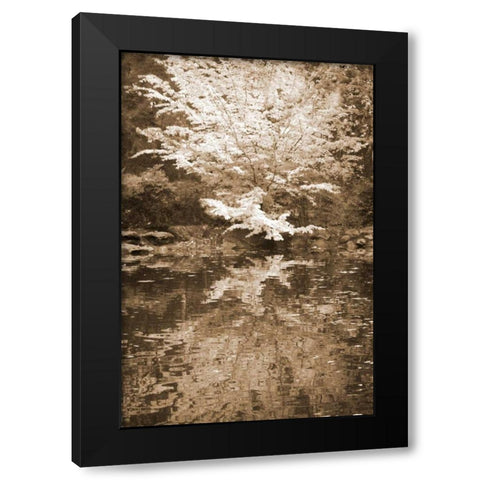 Fall Bouquet I Black Modern Wood Framed Art Print with Double Matting by Geyman, Vitaly