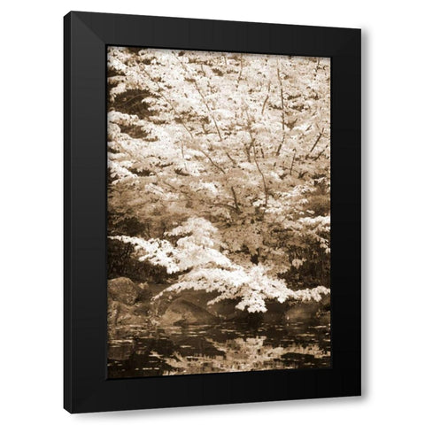 Fall Bouquet II Black Modern Wood Framed Art Print by Geyman, Vitaly