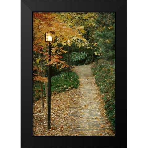 Autumn Path I Black Modern Wood Framed Art Print by Geyman, Vitaly