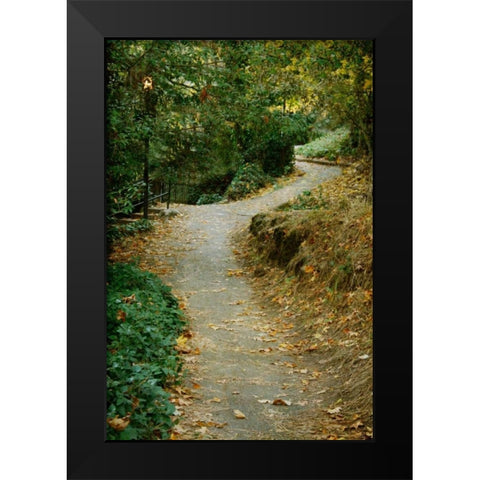 Autumn Path II Black Modern Wood Framed Art Print by Geyman, Vitaly