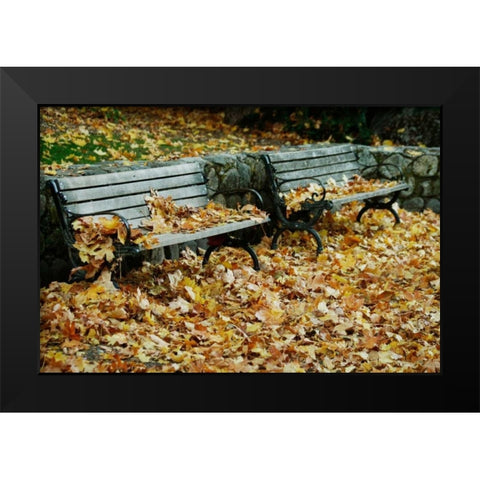 Autumn Paradise I Black Modern Wood Framed Art Print by Geyman, Vitaly