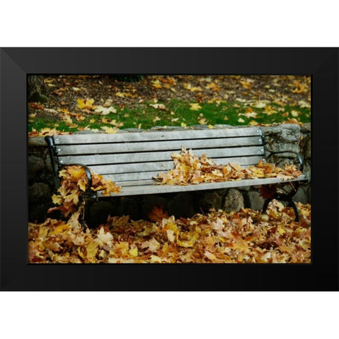 Autumn Paradise II Black Modern Wood Framed Art Print by Geyman, Vitaly