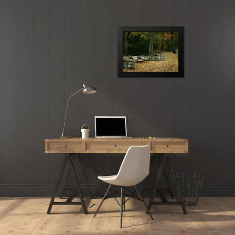 Autumn Paradise III Black Modern Wood Framed Art Print by Geyman, Vitaly