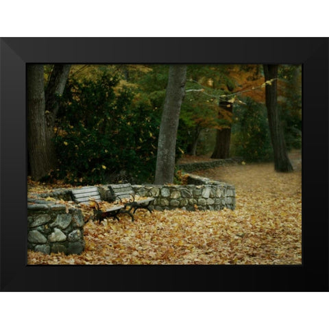 Autumn Paradise III Black Modern Wood Framed Art Print by Geyman, Vitaly
