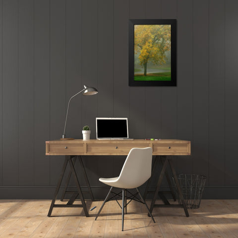 Colors in the Mist V Black Modern Wood Framed Art Print by Geyman, Vitaly