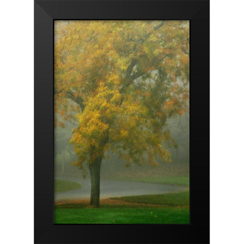 Colors in the Mist V Black Modern Wood Framed Art Print by Geyman, Vitaly