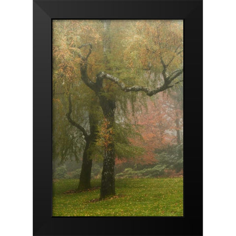 Colors in the Mist VI Black Modern Wood Framed Art Print by Geyman, Vitaly