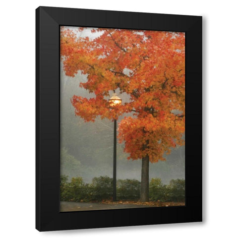 Colors in the Mist II Black Modern Wood Framed Art Print with Double Matting by Geyman, Vitaly