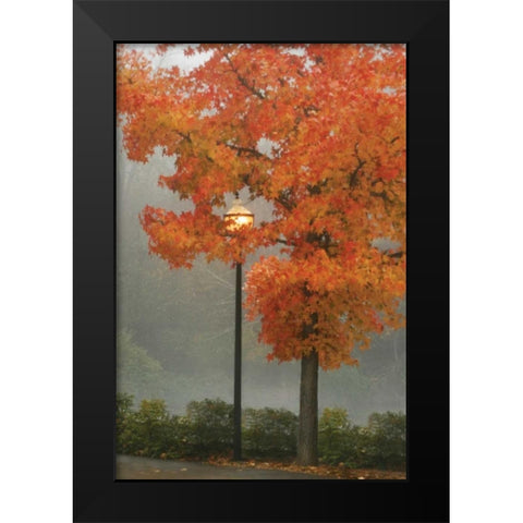 Colors in the Mist II Black Modern Wood Framed Art Print by Geyman, Vitaly
