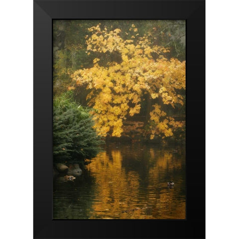Autumn Reflections I Black Modern Wood Framed Art Print by Geyman, Vitaly