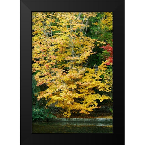 Tree Delicacy II Black Modern Wood Framed Art Print by Geyman, Vitaly