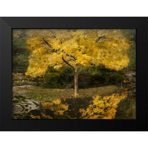 Autumn Reflections III Black Modern Wood Framed Art Print by Geyman, Vitaly