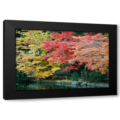 Autumn Trio I Black Modern Wood Framed Art Print by Geyman, Vitaly