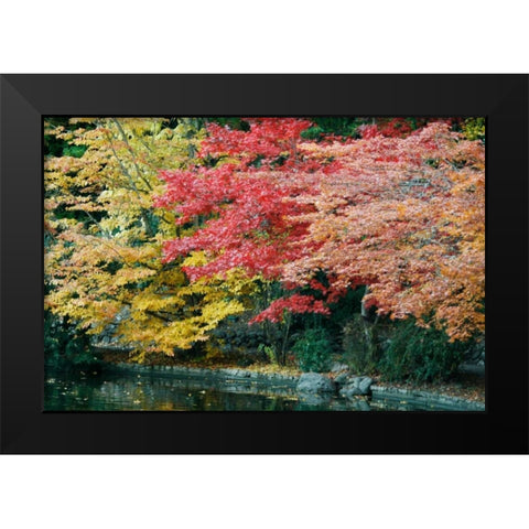 Autumn Trio I Black Modern Wood Framed Art Print by Geyman, Vitaly