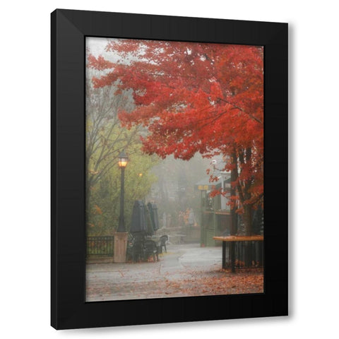 Fall Plaza III Black Modern Wood Framed Art Print with Double Matting by Geyman, Vitaly