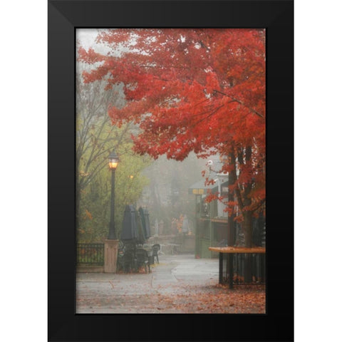 Fall Plaza III Black Modern Wood Framed Art Print by Geyman, Vitaly