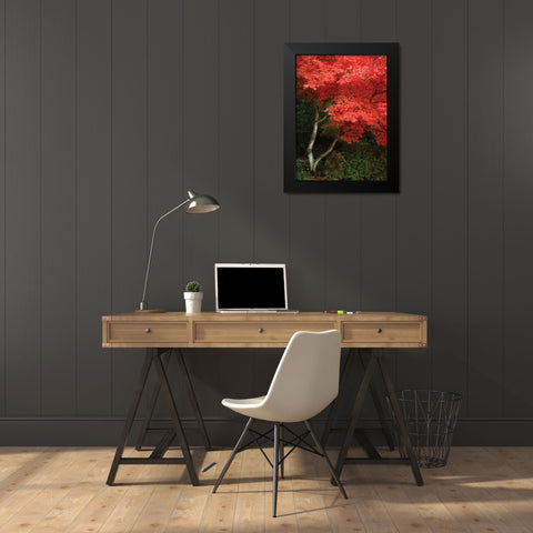 Maple Beauty I Black Modern Wood Framed Art Print by Geyman, Vitaly