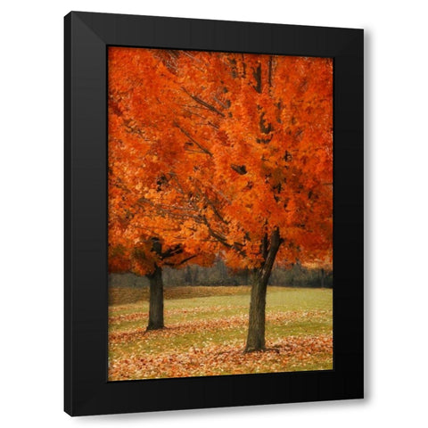 Splash of Color I Black Modern Wood Framed Art Print by Geyman, Vitaly