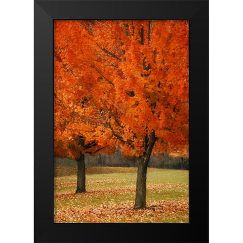 Splash of Color I Black Modern Wood Framed Art Print by Geyman, Vitaly