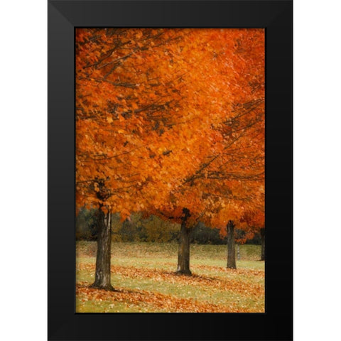 Splash of Color II Black Modern Wood Framed Art Print by Geyman, Vitaly