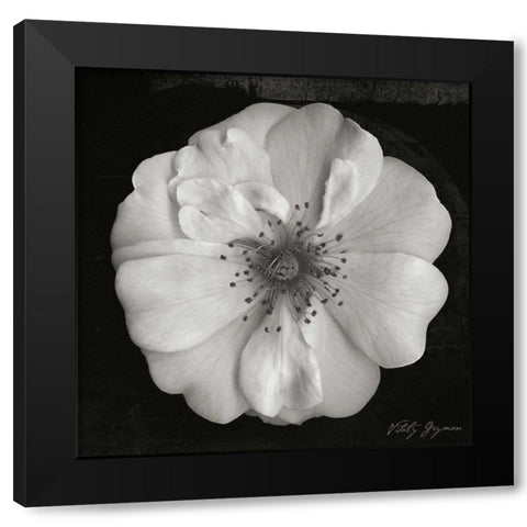 Classic Beauty Square Black Modern Wood Framed Art Print by Geyman, Vitaly