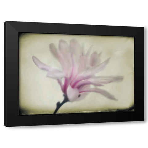 Floral Dreams I Black Modern Wood Framed Art Print with Double Matting by Geyman, Vitaly