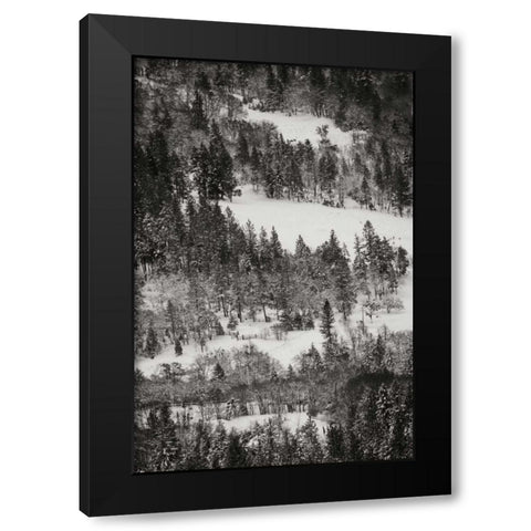 Winter Mosaic I Black Modern Wood Framed Art Print by Geyman, Vitaly