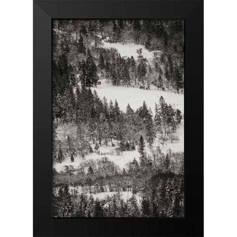 Winter Mosaic I Black Modern Wood Framed Art Print by Geyman, Vitaly